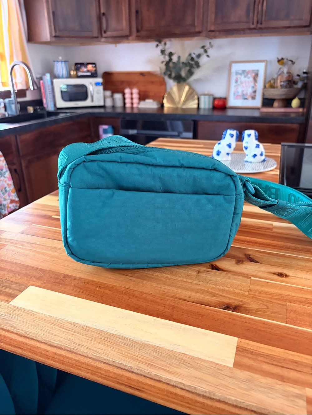 Teal Camera Crossbody